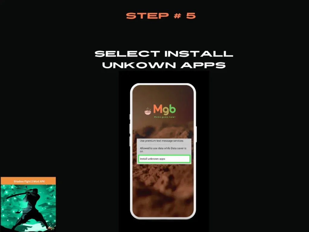 Visual representation on the mobile phone screen on How to download Shadow Fight 2 Mod APK Step 5 Allow access from this source.